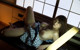 Marina Shiraishi - Gril Hitfuck Skyblurle P2 No.e940fd